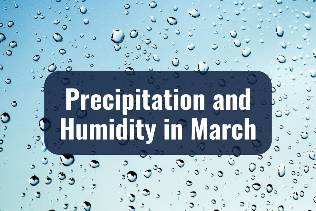 Precipitation and Humidity in March