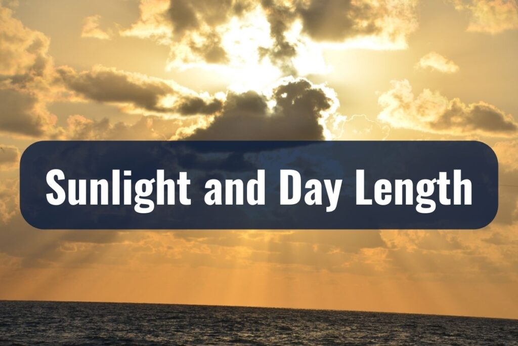 Sunlight and Day Length