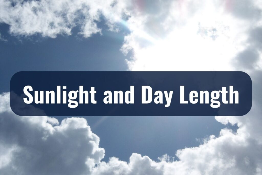 Sunlight and Day Length