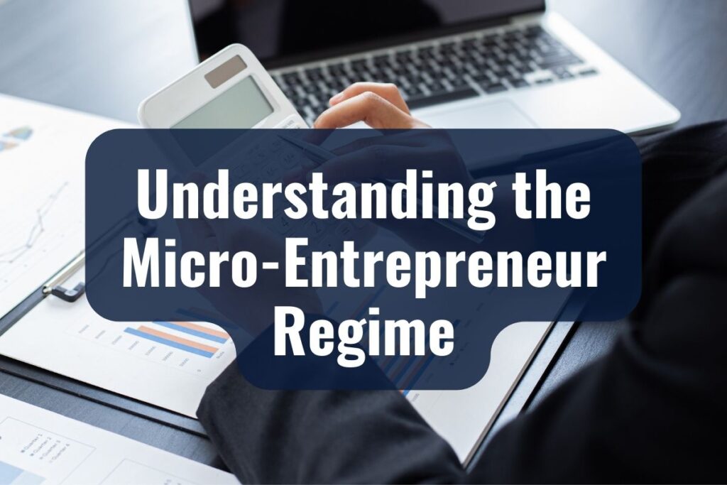 Understanding the Micro-Entrepreneur Regime